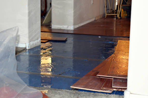 Professional Water Damage Restoration technician working in Penelope, TX